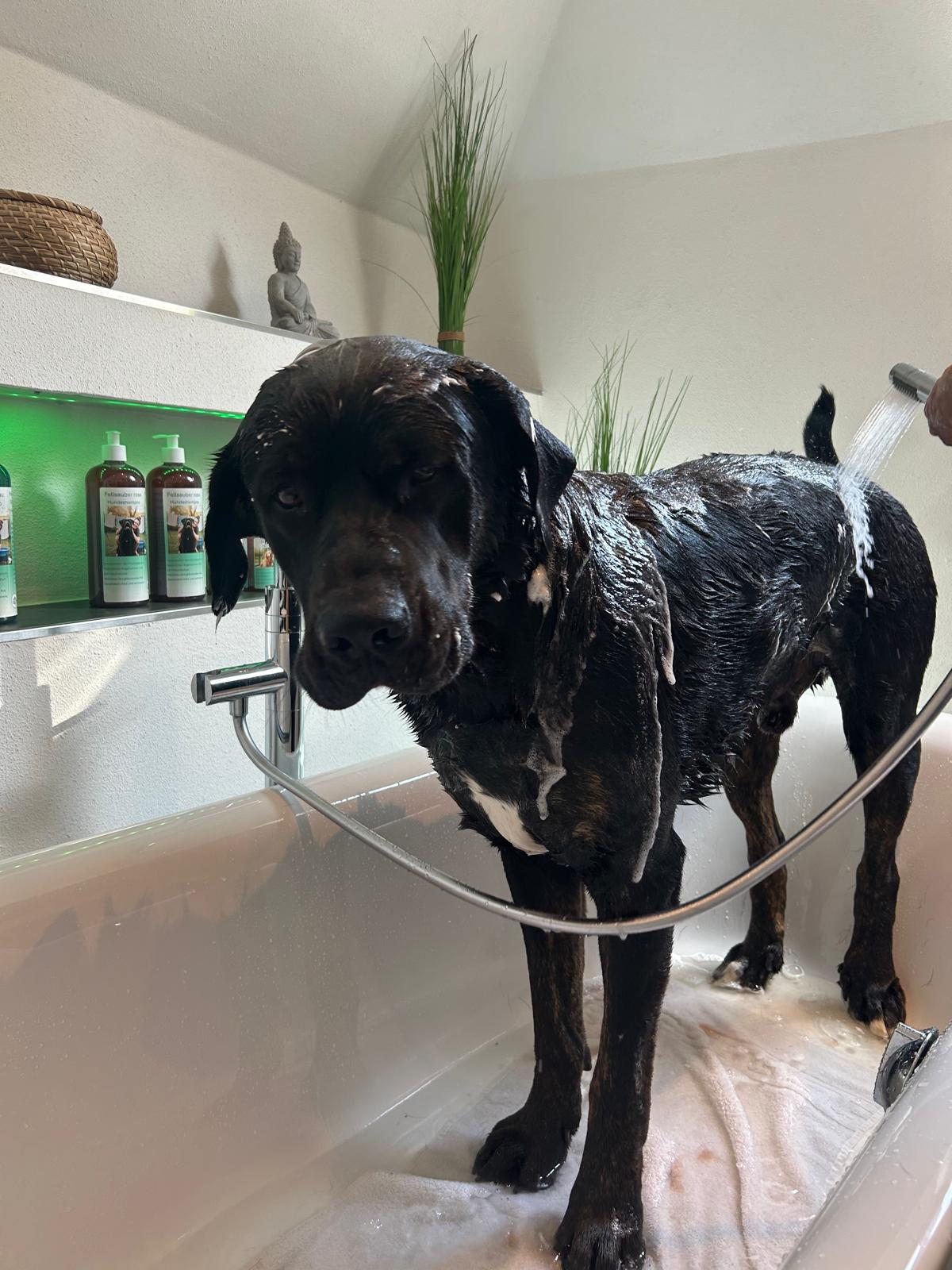 Hundeshampoo Fellsauber