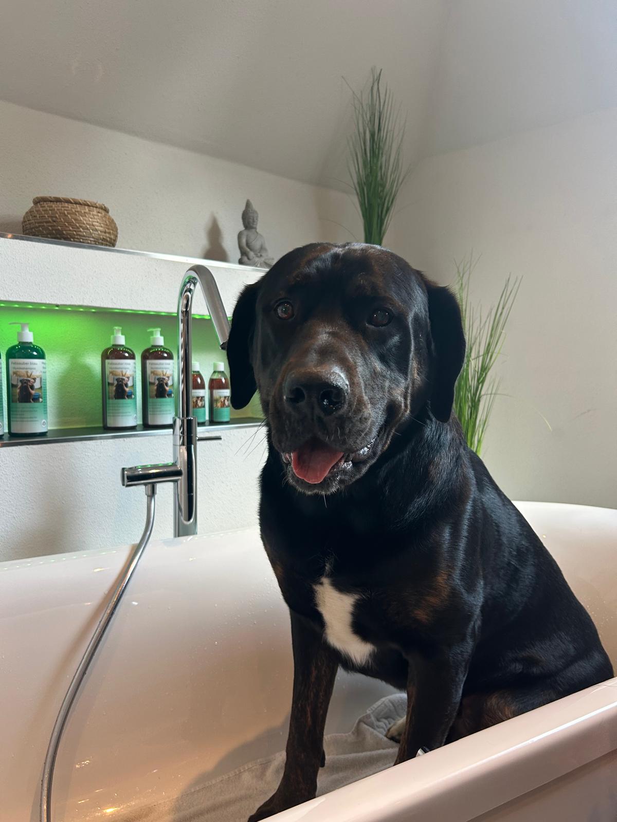 Hundeshampoo Fellsauber