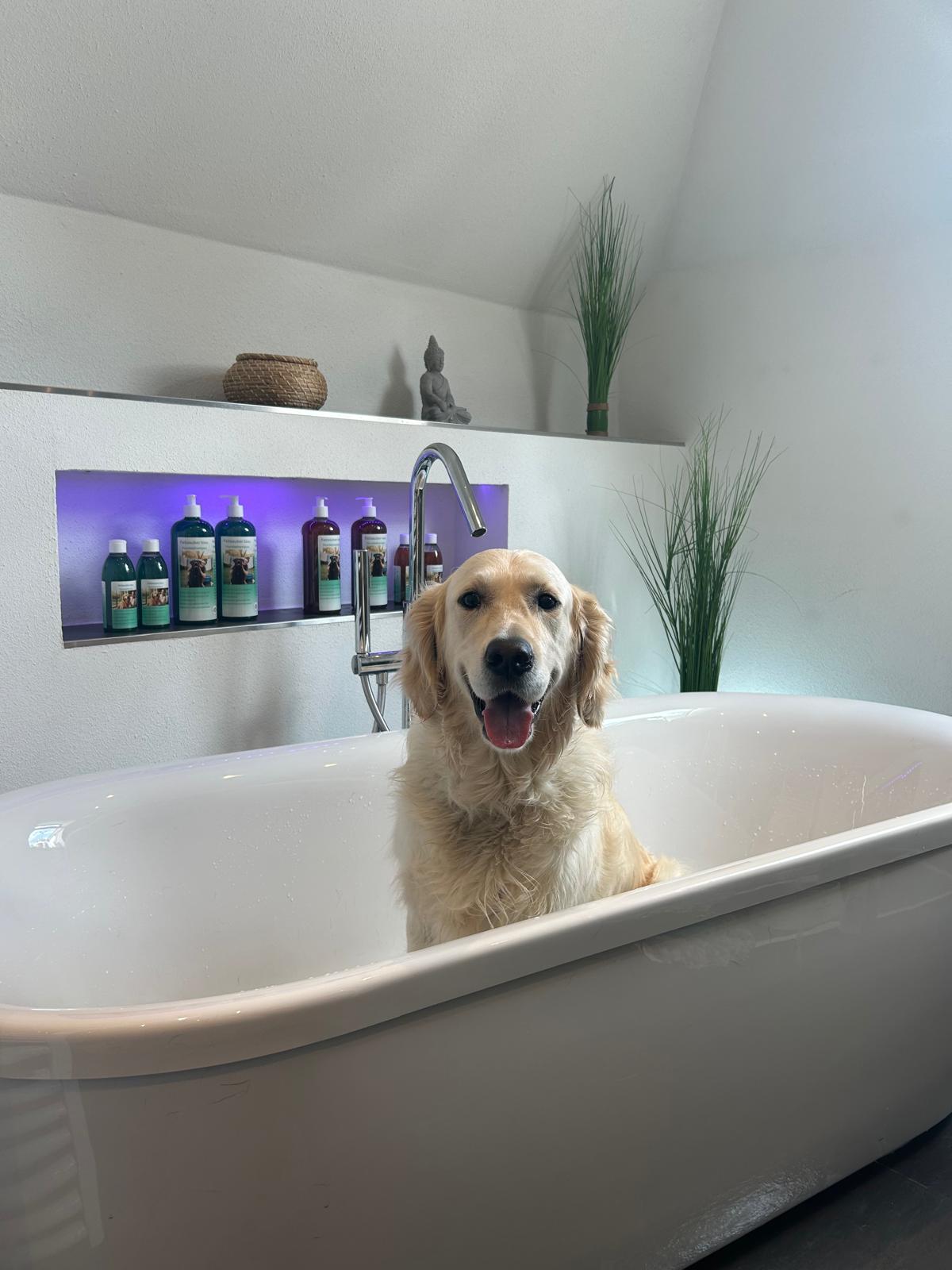Hundeshampoo Fellsauber