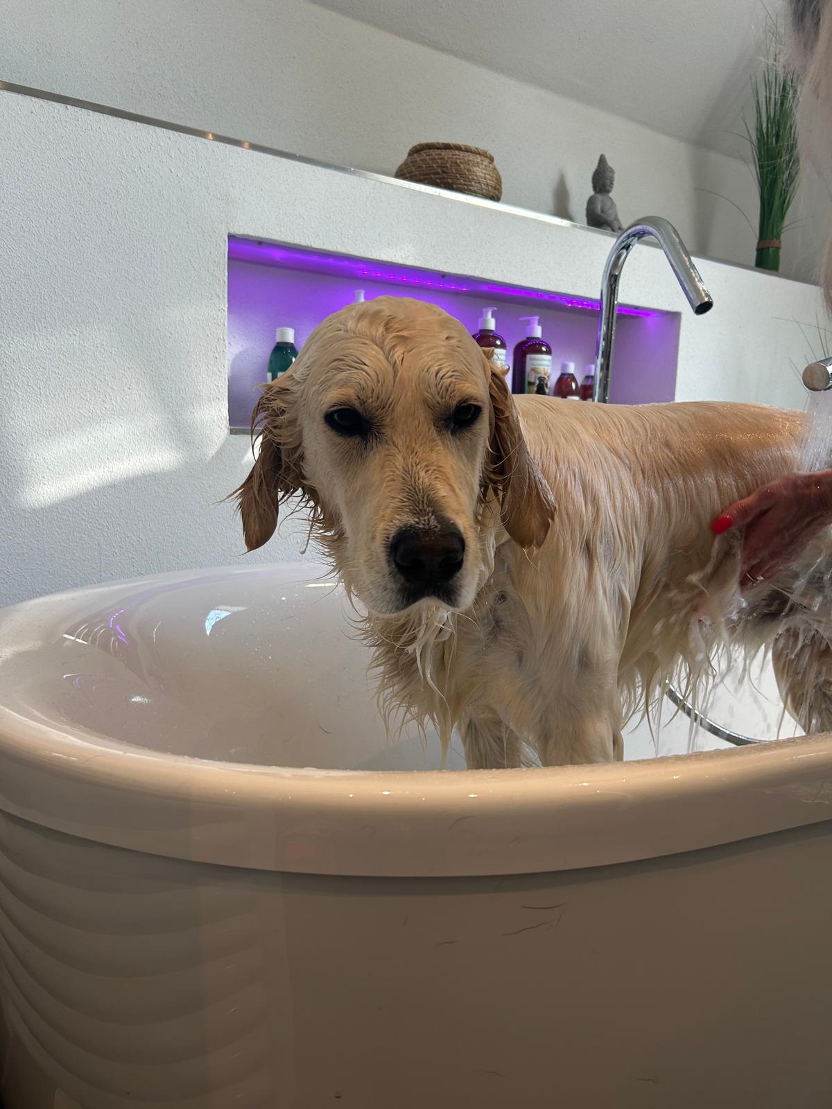 Hundeshampoo Fellsauber